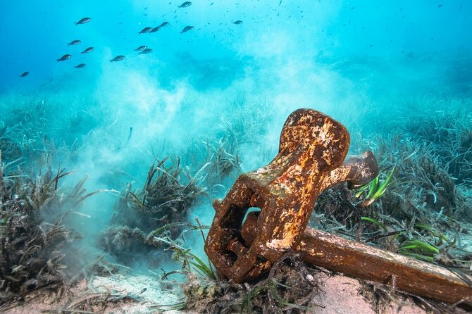 Bahamas on a Semi Submersive Glass Bottom Boat - A Strange-Looking Boat With a Practical Purpose