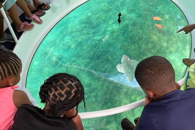 Bahamas on a Semi Submersive Glass Bottom Boat - Is $140 a Fair Price?