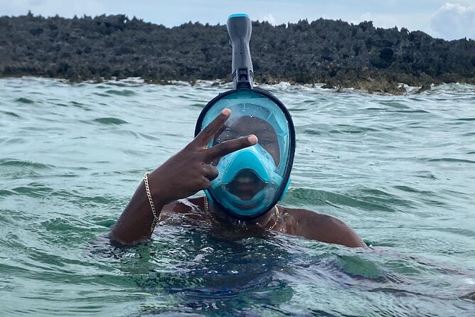 Bahamas Sea Scooter Snorkeling Adventure - What you may see below the surface