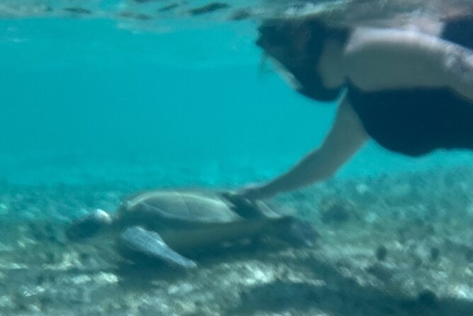 Bahamas Sea Scooter Snorkeling Adventure - The ride can become a Freeport island introduction