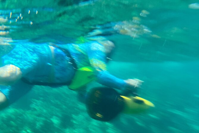 Bahamas Sea Scooter Snorkeling Adventure - The guide can shape the whole day