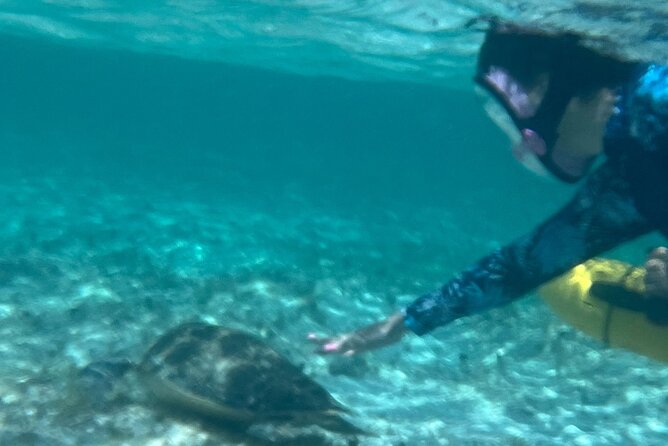 Bahamas Sea Scooter Snorkeling Adventure - Who should book this Grand Bahama excursion?