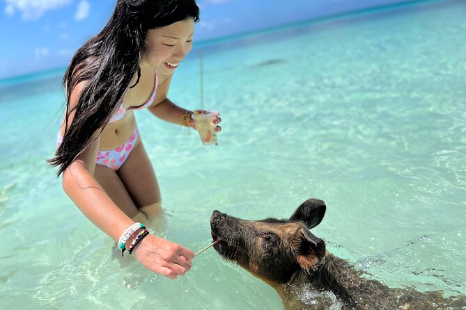 Bahamas Swimming Pigs Experience on Rose Island - Key things to know before booking