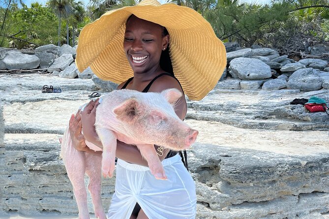 Bahamas Swimming Pigs Experience on Rose Island - From Nassau pickup to the Rose Island boat
