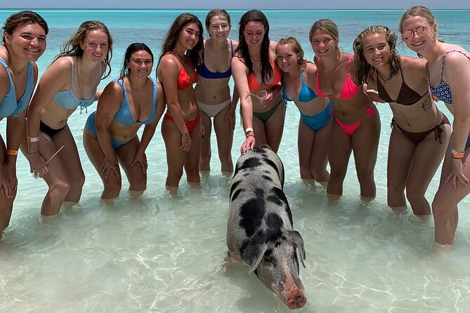 Bahamas Swimming Pigs Experience on Rose Island - Beach time, games, and water activities