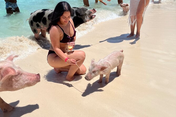 Bahamas Swimming Pigs Experience on Rose Island - Lunch on Rose Island