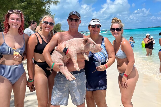 Bahamas Swimming Pigs Experience on Rose Island - How $179 compares with the experience