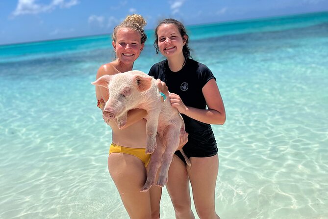Bahamas Swimming Pigs Experience on Rose Island - Timing, weather, and family fit
