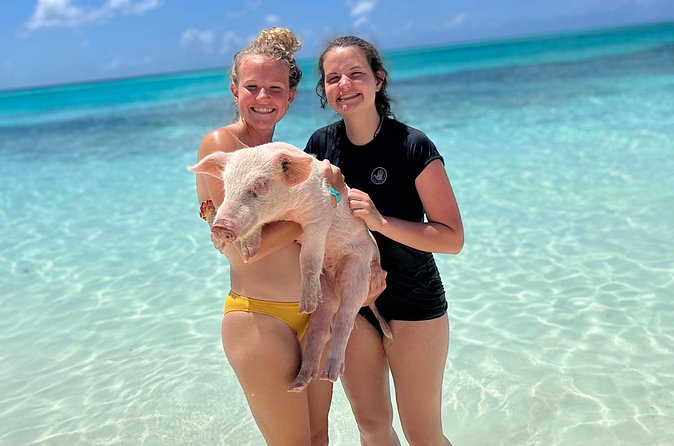Bahamas Swimming Pigs Experience on Rose Island - What could go wrong