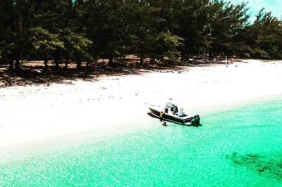 Beach Day Swim with Turtles and Pigs Excursion in Nassau