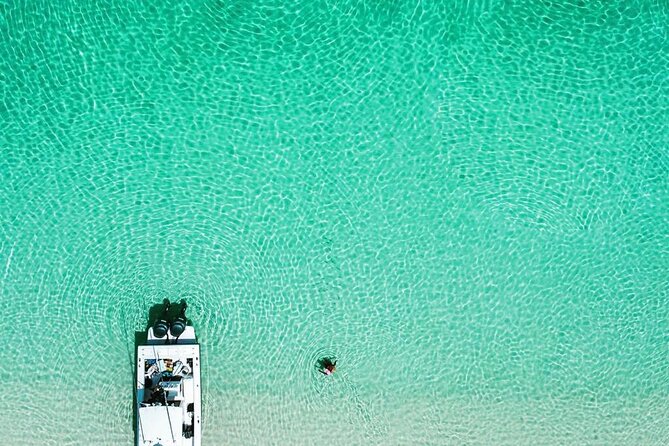 Beach Day Swim with Turtles and Pigs Excursion in Nassau - What $257 buys you in Nassau