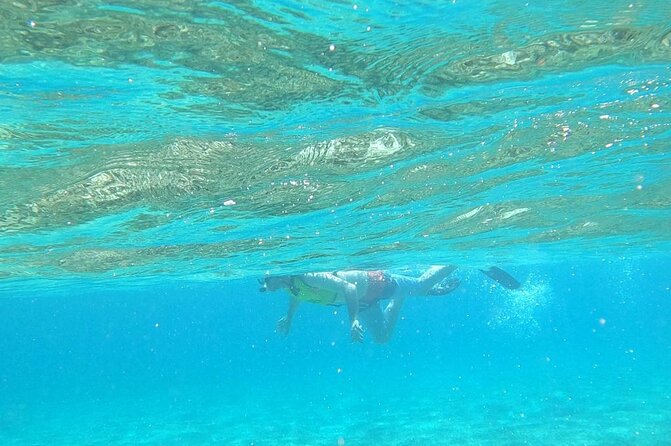 Beach Day Swim with Turtles and Pigs Excursion in Nassau - Who will enjoy this boat excursion most