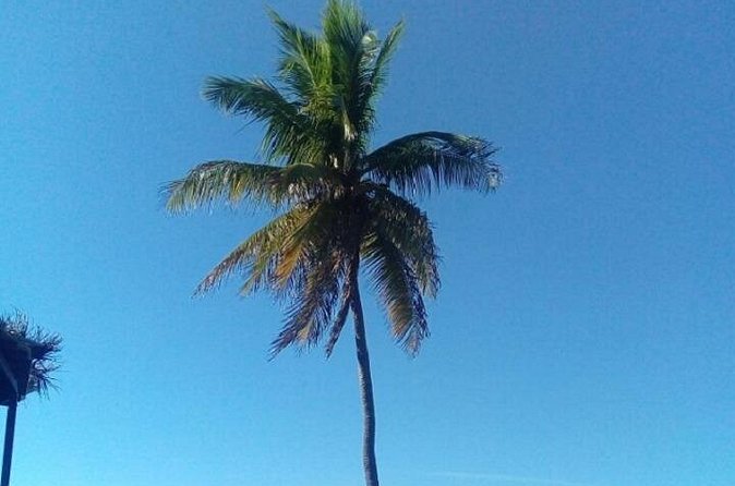 Big Bus Private Tour (minimum of 15) - Snorkeling equipment and spontaneous beach time