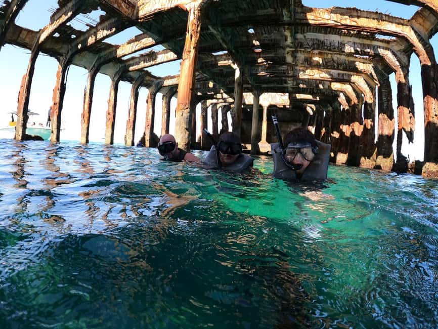 Bimini: 4-Stop Snorkeling Adventure - Key points to know before booking