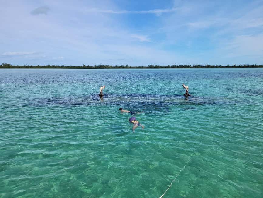 Bimini: 4-Stop Snorkeling Adventure - Four Bimini stops in one fast-moving morning