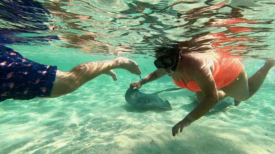 Bimini: 4-Stop Snorkeling Adventure - The SS Sapona brings history into the water