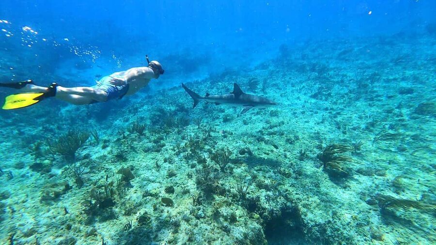 Bimini: 4-Stop Snorkeling Adventure - The Pablo Escobar plane wreck