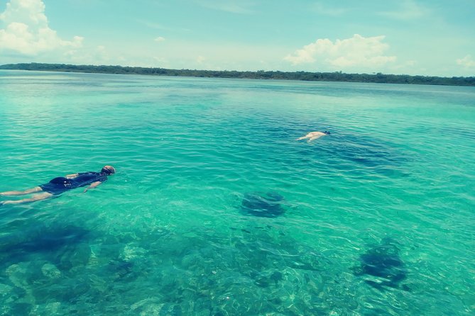 Blue hole, drift snorkeling, turtles Celebration Key is welcome - The 45-minute drift over coral and sea life