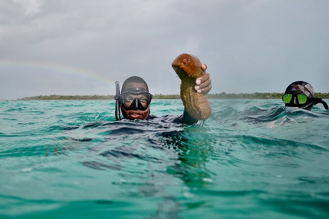 Blue hole, drift snorkeling, turtles Celebration Key is welcome - What the $121 price really buys