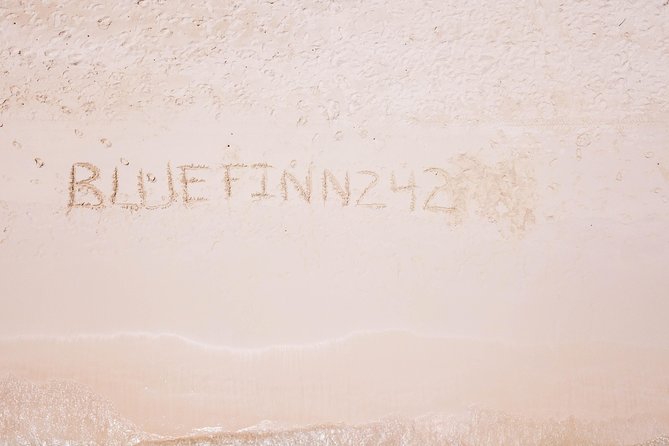 Bluefinn242 Swim with the Turtles in Nassau Bahamas - Price, timing, and what you receive