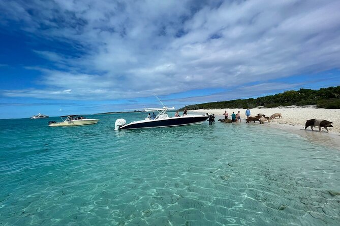 Boat Charters & Excursions - Key points to know before booking