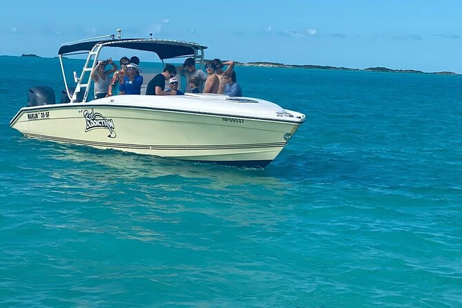 Boat Charters & Excursions - Snorkeling, underwater statues, and fishing