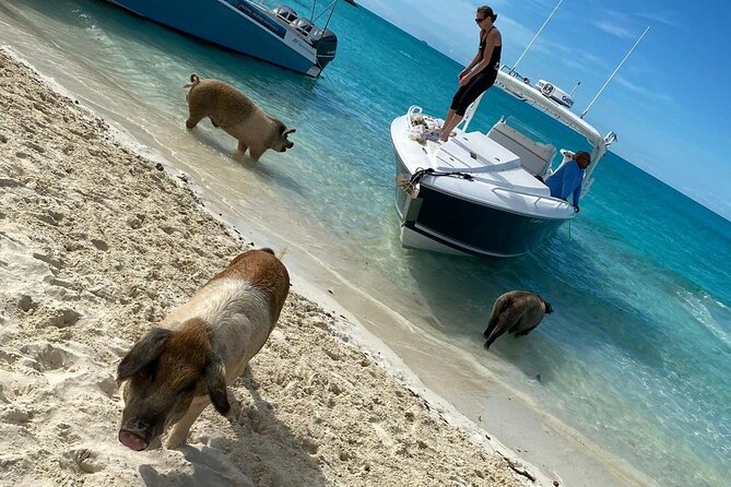 Boat Charters & Excursions - What $1,500 means for your group