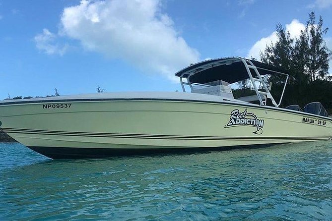Boat Charters & Excursions - Who will enjoy this private charter most