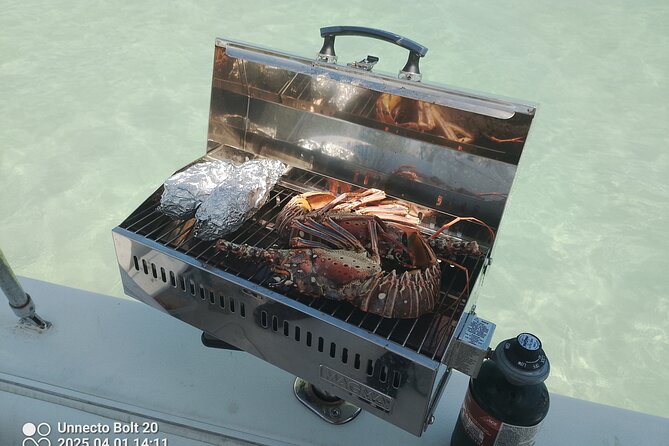 Boat Tour , Catch & Cook | Creative Eco Adventures - Why this Grand Bahama outing feels different