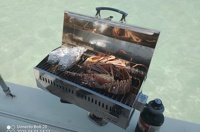 Boat Tour , Catch & Cook | Creative Eco Adventures - Weather, cancellations, and planning details