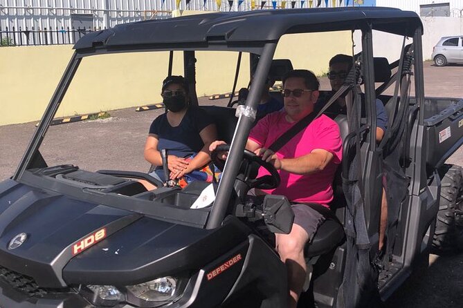Buggy Rental (with Drop-off, Pick-up around New Providence) - Choosing the right buggy for your group