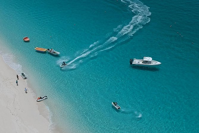Bus for a Day (Shore Excursion) - Five things to know before you book