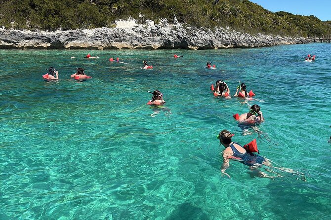 Catamaran Snorkel & Beach Day with Turtles - Rose Island and Gilligan’s Island beach