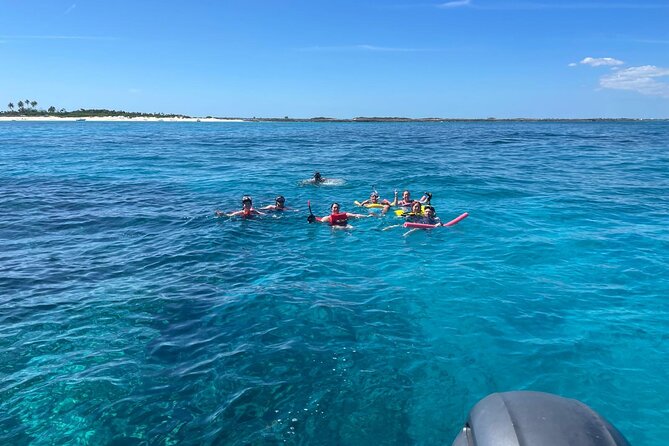Catamaran Snorkel & Beach Day with Turtles - Green Cay brings the turtle encounter