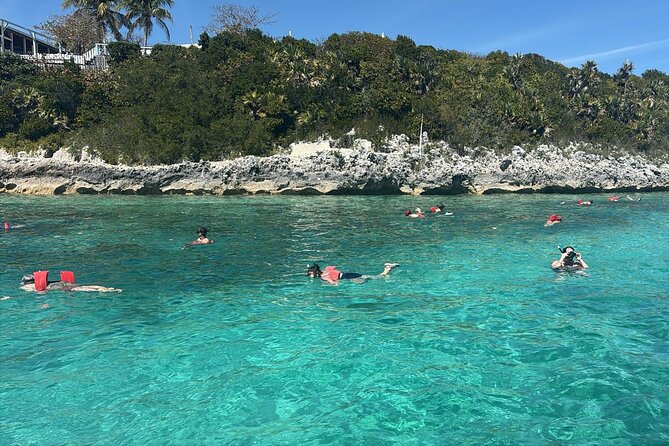 Catamaran Snorkel & Beach Day with Turtles - Atholl Island supplies the main snorkeling