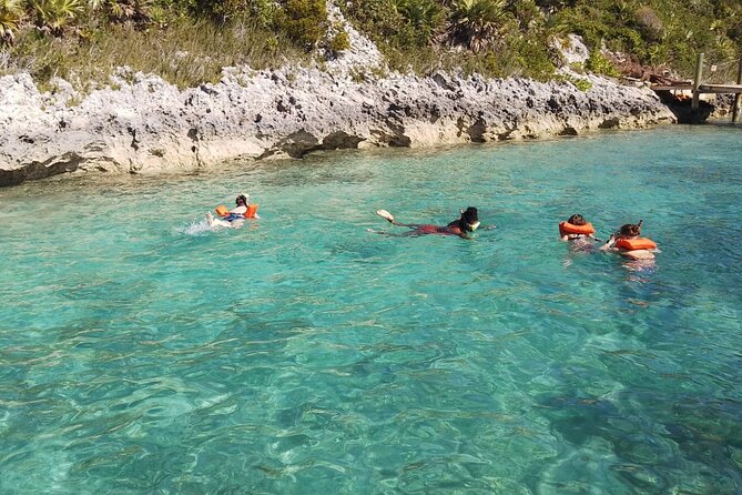 Catamaran Snorkel & Beach Day with Turtles - What the crew adds to the experience