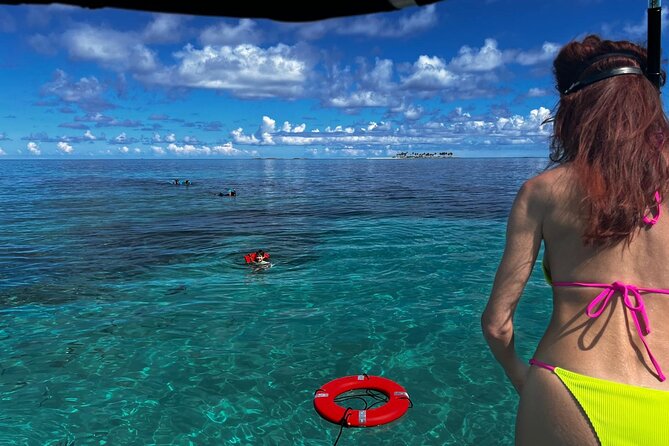 Catamaran Snorkel & Beach Day with Turtles - Montagu Beach starts the outing