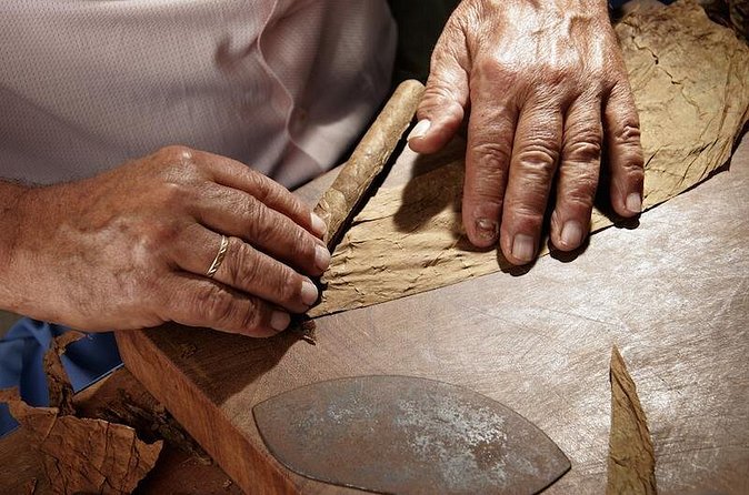 Cigar Rolling Lesson in Nassau - What the Guide Can Add