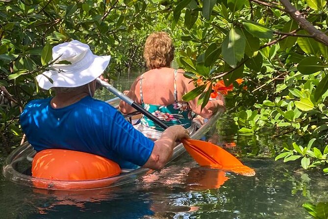 Clear Kayak Tour - What the guide adds to the day