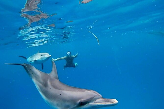 Create-Your-Own Luxury Adventure in Bimini with photographer - Key points at a glance