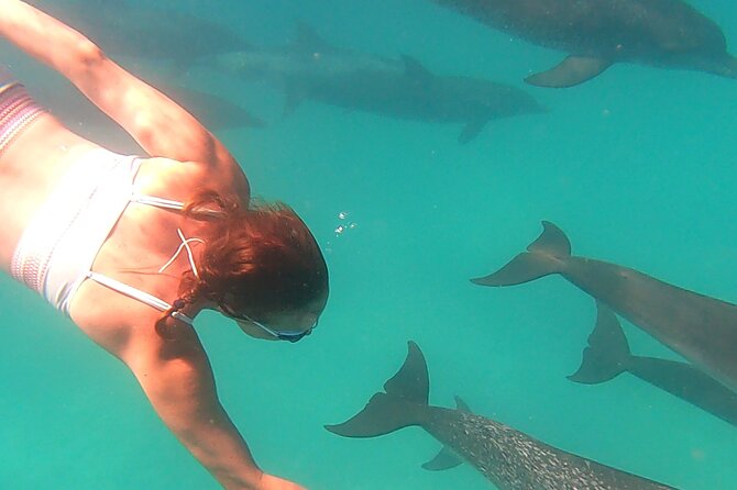 Create-Your-Own Luxury Adventure in Bimini with photographer - Timing, weather, and the small print