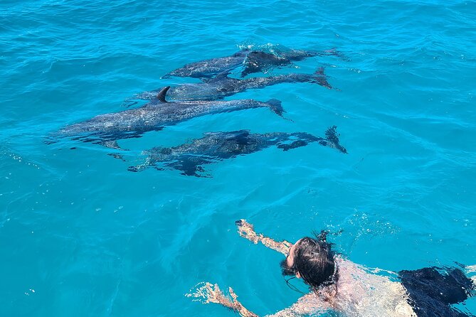 Create-Your-Own Luxury Adventure in Bimini with photographer - North Bimini by private boat