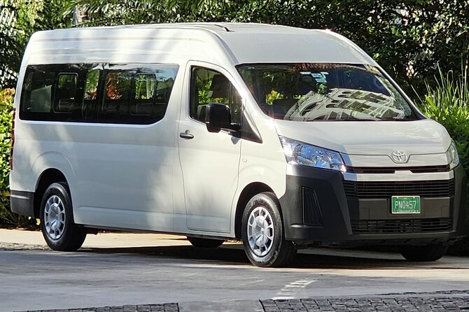 Custom Family and Small Group Transfers for Comfortable Journeys - Meeting your driver in Nassau