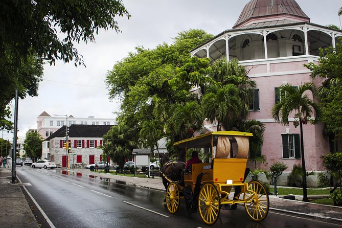 Dilly Dally Walking Tour of Nassau Attractions - What the $55 price really gets you
