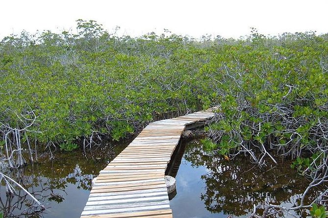 East End Private Day Trip Experience Tour - A private way to see more of Grand Bahama