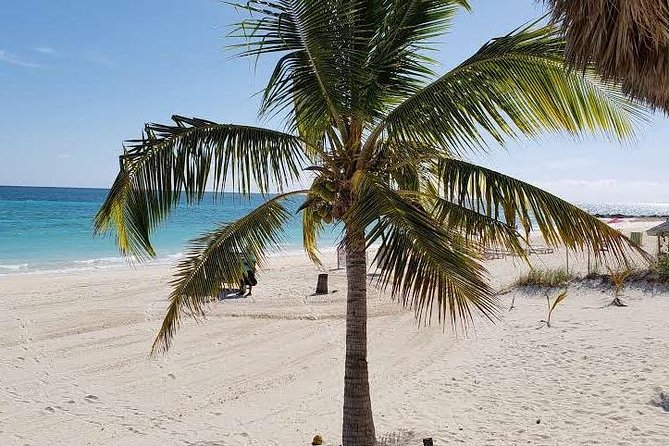 East End Private Day Trip Experience Tour - Taino Beach and conch salad made fresh