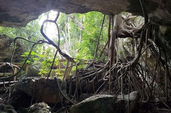 East End Private Day Trip Experience Tour - Garden of the Groves requires an extra payment
