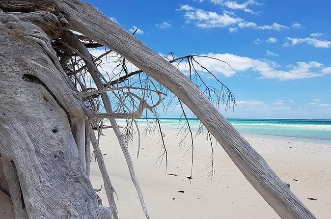 East End Private Day Trip Experience Tour - Lucayan National Park and two hours at Gold Rock Beach