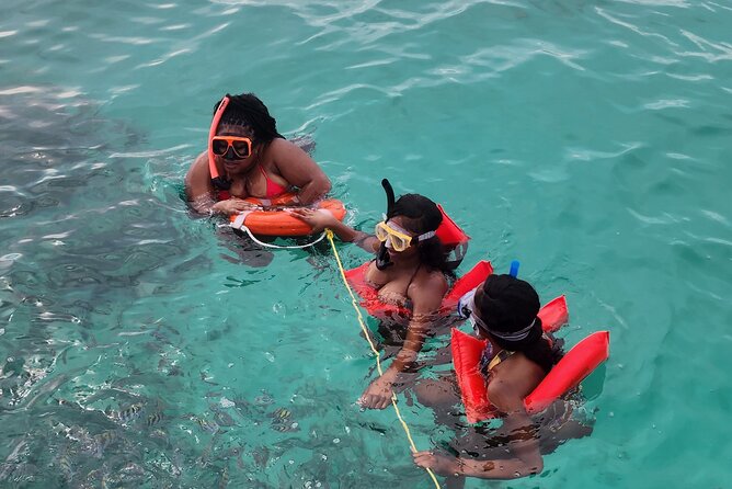 Exotic half day private charters to Rose Island, Pigs and Turtles - Sea Turtles and the Pace of the Water