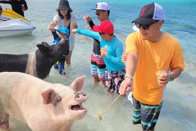 Exotic half day private charters to Rose Island, Pigs and Turtles - Drinks, Snacks, and the Real Value of the Charter
